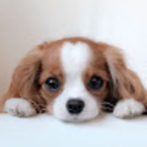 Meet your Posher, Cathy